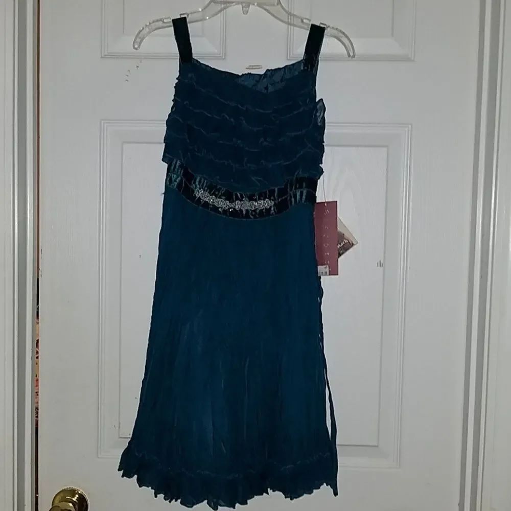 Biscotti Boutique Dress  Sz  12 NWT
